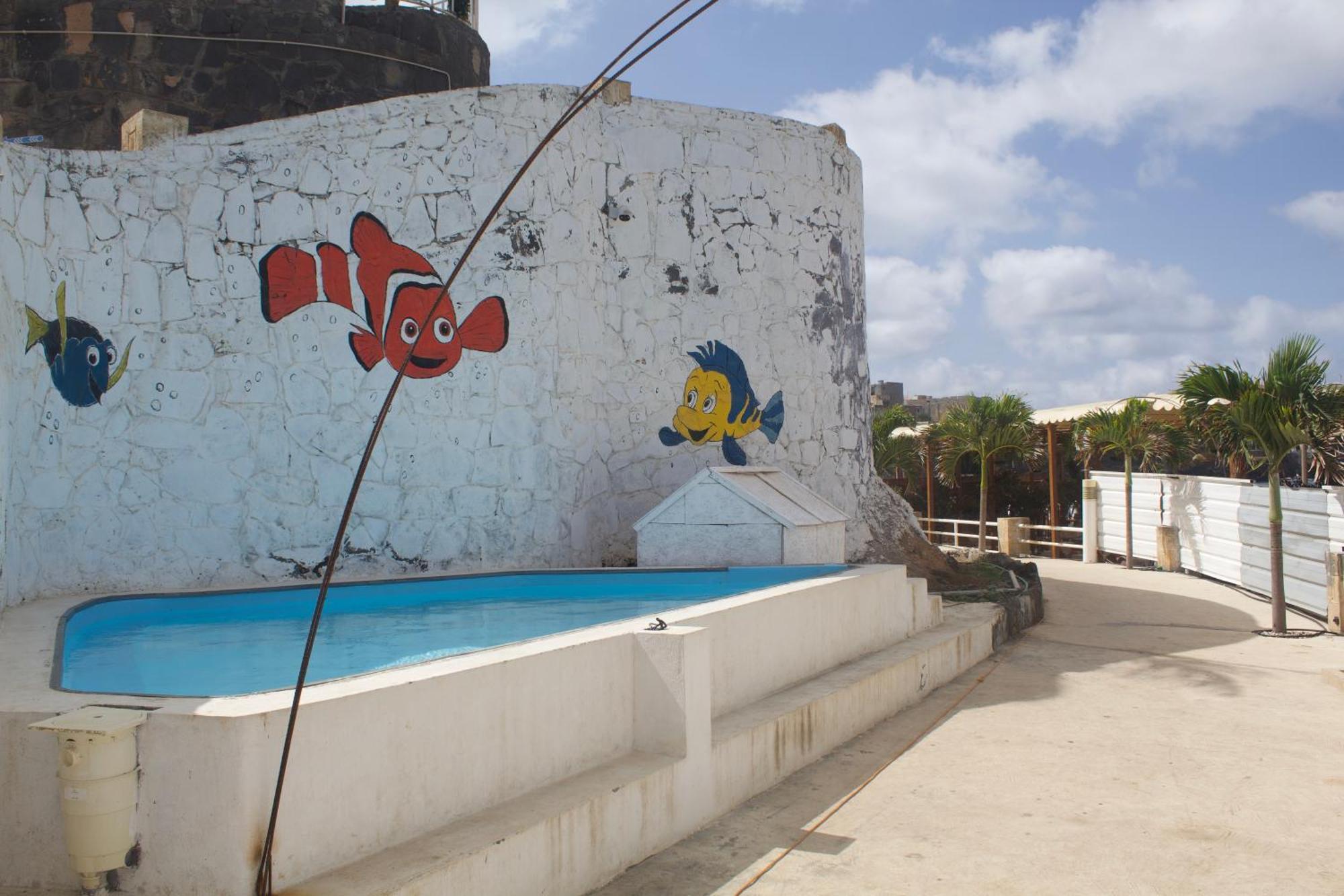 Falucho Paradise Beach Pedra Badejo  Exterior foto